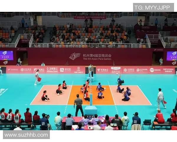 杭州排球队转型之路的真实记录与成长历程探秘